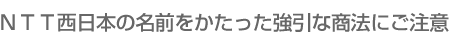 �m�s�s�����{�̖��O���������������ȏ��@�ɂ�����