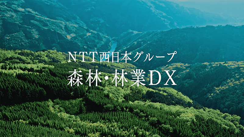 森林・林業DX　（NTT西日本グループ）ショート 