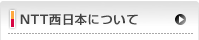 NTT�����{�ɂ���