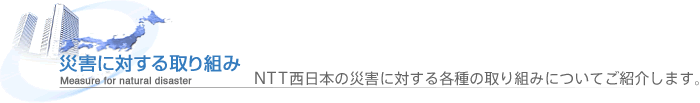 �ЊQ�ɑ΂�����g��