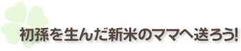 初孫を生んだ新米のママへ送ろう!