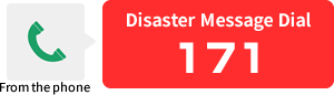 Disaster Message Number (171) is available from the phone.