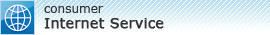 Internet Service