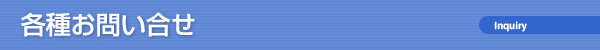 �e�킨�₢����