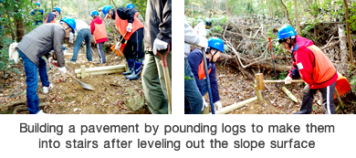 Building a pavement by pounding logs to make them into stairs after leveling out the slope surface