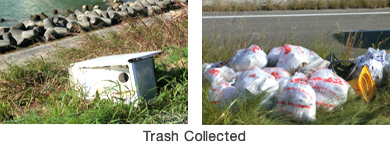 Trash Collected
