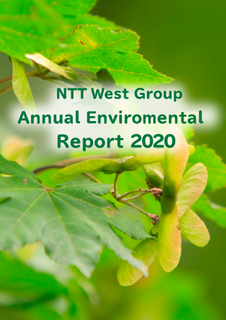 Annual Environmental Report 2020