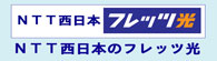 NTT�����{�̃t���b�c��