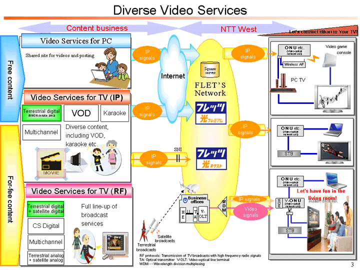 Diverse Video Services