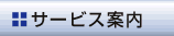 �T�[�r�X�ē�