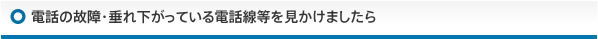 �d�b�̌̏�