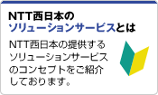 NTT�����{�̃\�����[�V�����T�[�r�X�Ƃ�