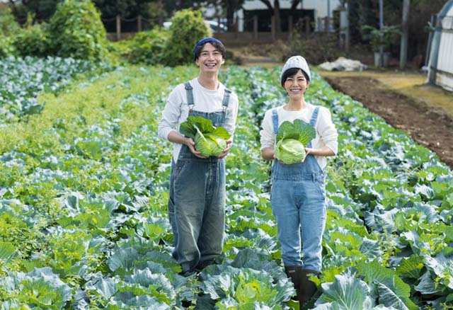 農村の振興