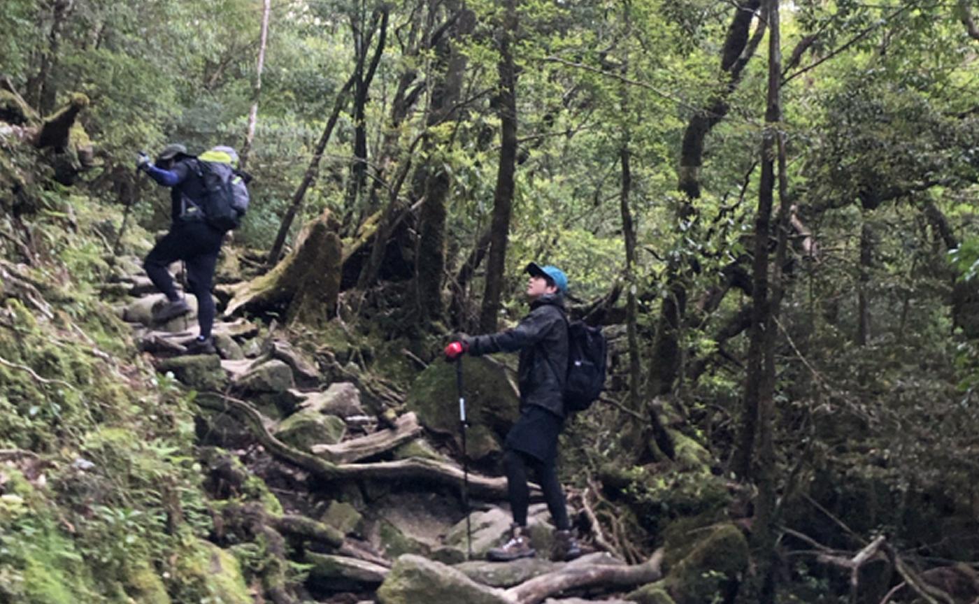屋久島をつなぐ人たち。通信で「まもる」離島の暮らし