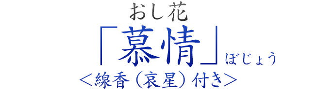 おし花「慕情」（ぼじょう）＜線香（哀星）付き＞