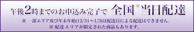 午後2時までのお申込み完了で全国※当日配達 ※一部エリア及び年末年始(12/31～1/3)は配達員による配達はできません。 ※配達エリアが限定された商品もあります。