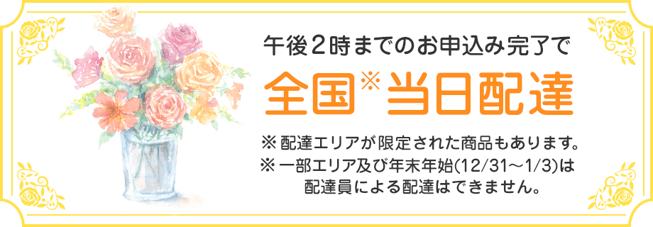 午後2時までのお申込み完了で全国※当日配達 ※一部エリア及び年末年始(12/31～1/3)は配達員による配達はできません。 ※配達エリアが限定された商品もあります。