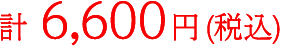 計6,600円 (税込)