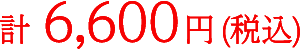 計6,600円 (税込)