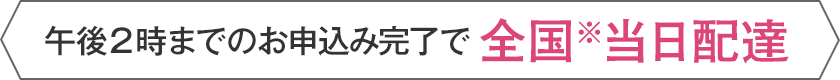 午後2時までのお申込み完了で全国※当日配達