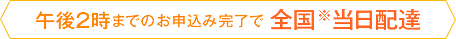 午後2時までのお申込み完了で全国※当日配達