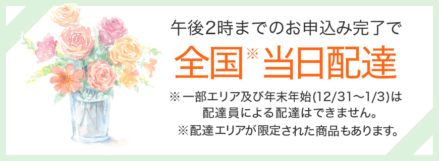 午後2時までのお申込み完了で全国※当日配達 ※一部エリア及び年末年始(12/31～1/3)は配達員による配達はできません。 ※配達エリアが限定された商品もあります。