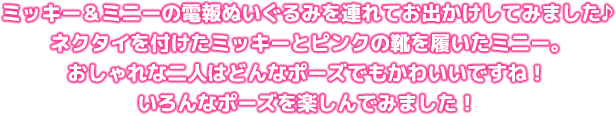 ミッキー＆ミニーの電報ぬいぐるみを連れてお出かけしてみました♪ネクタイを付けたミッキーとピンクの靴を履いたミニー。おしゃれな二人はどんなポーズでもかわいいですね！いろんなポーズを楽しんでみました！