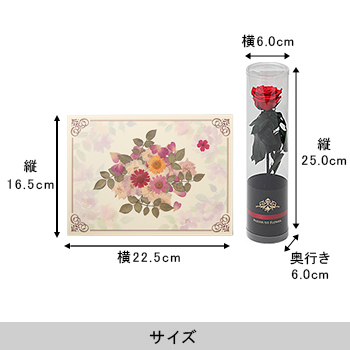 おし花「ルミエール」＜プリザーブドフラワー付き＞