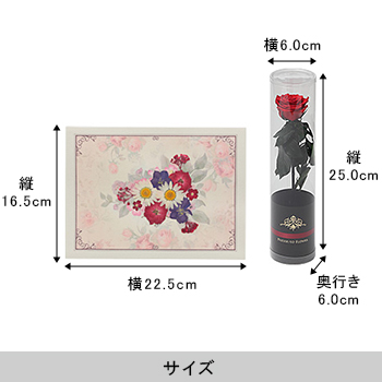 おし花「ハーモニー」＜プリザーブドフラワー付き＞