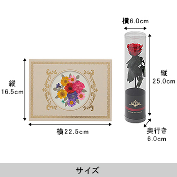 おし花「はなやか」＜プリザーブドフラワー付き＞