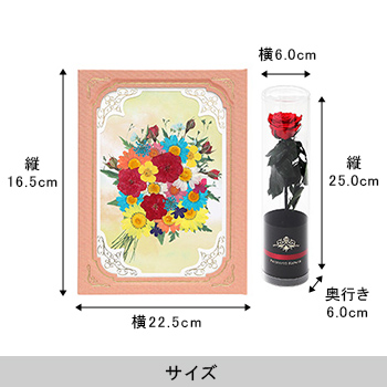 おし花「七彩」（しちさい）＜プリザーブドフラワー付き＞