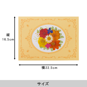 おし花「ひだまり」