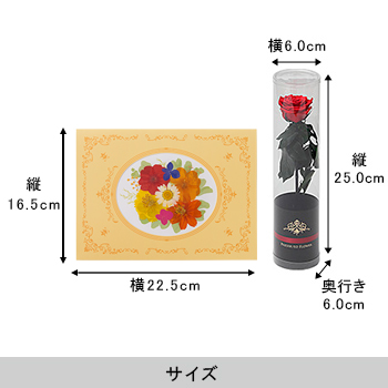 おし花「ひだまり」＜プリザーブドフラワー付き＞