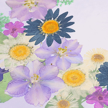 おし花「慕情」（ぼじょう）