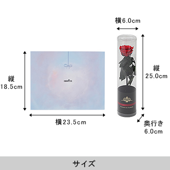 カタログギフト「エコジュピター」＜プリザーブドフラワー付き＞【西日本エリア限定商品】