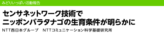 センサネットワーク技術でニッポンバラタナゴの生育条件が明らかに NTT西日本グループ　NTTコミュニケーション科学基礎研究所