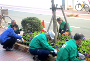 「帯屋町シンボルロード花壇整備」活動の実施