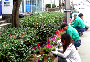 「帯屋町シンボルロード花壇」の花植え作業