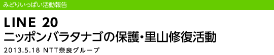 LINE 20 jb|o^iS̕یERC/2013.5.18 NTTޗǃO[v