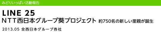 LINE 25 NTT{O[vvWFNg 750̐Vea