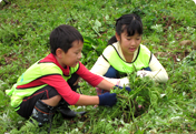 Participation in the Ishikawa Reforestation Project