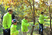 Participation in the Ishikawa Forestation Project