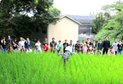 Protection of Endangered Species 'Japanese Rosy Bitterling' and Restoration of Satoyama (Village Forests)