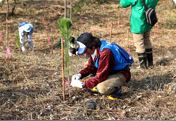 Participation in 11th 'Forestation with Water and Greenery' Prefectural Resident Volunteer Activity