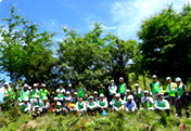 Tree Planting and Undergrowth Weeding at "Brilliant Forest"