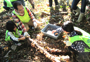 Participation in the Ishikawa Forestation Project