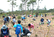 Participation in 12th "Forestation with Water and Greenery" Prefectural Resident Volunteer Activity