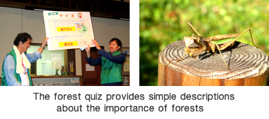 The forest quiz provides simple descriptions about the importance of forests  