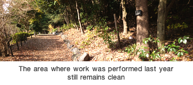 The area where work was performed last year still remains clean