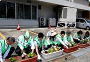 "Gifu Midori Ippai Project" - 6th Year into the Building of "Green Curtains"